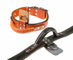 Ошейник 35 с Биркой + Ручка О 35 22 01 С