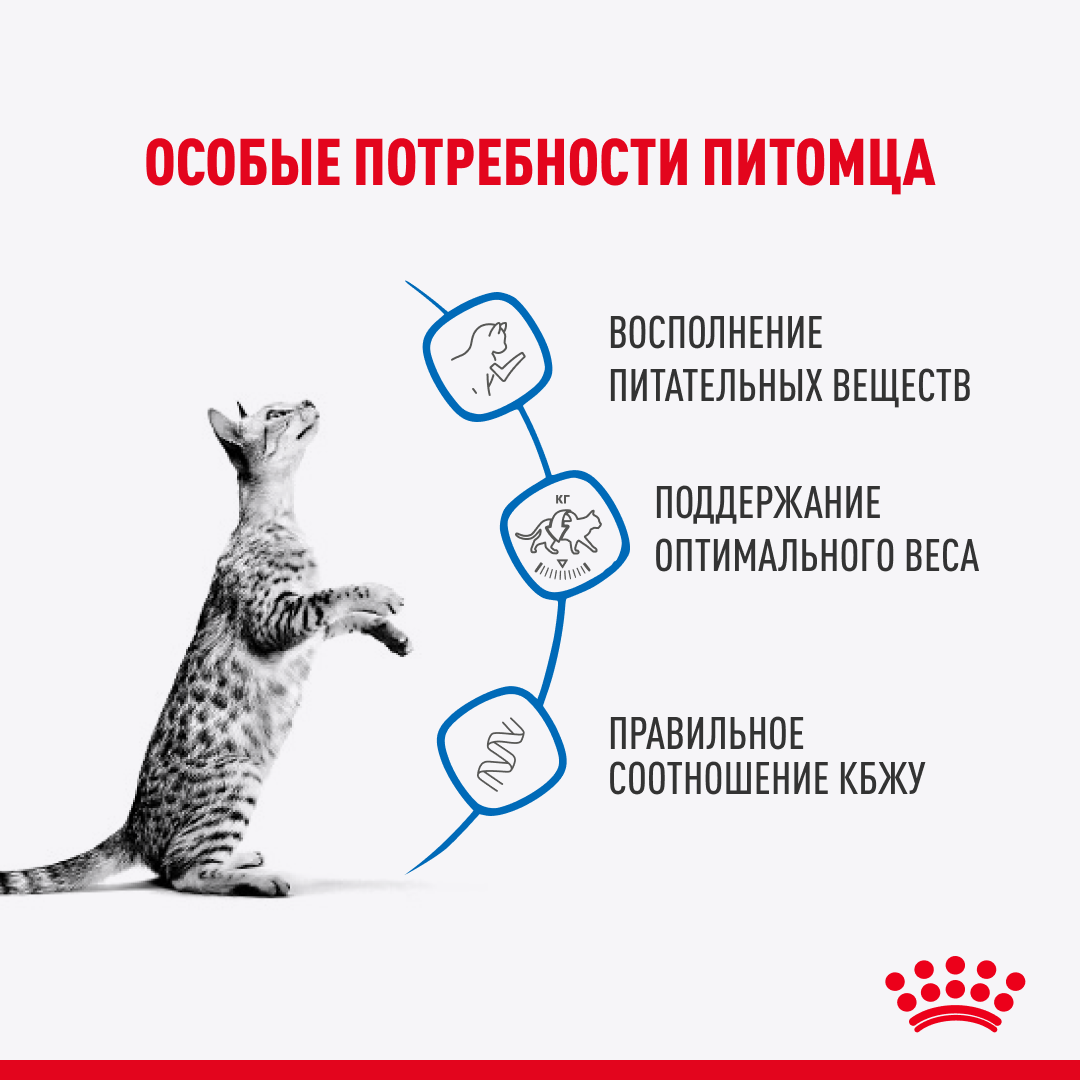 пауч Royal Canin INDOOR sterilised соус