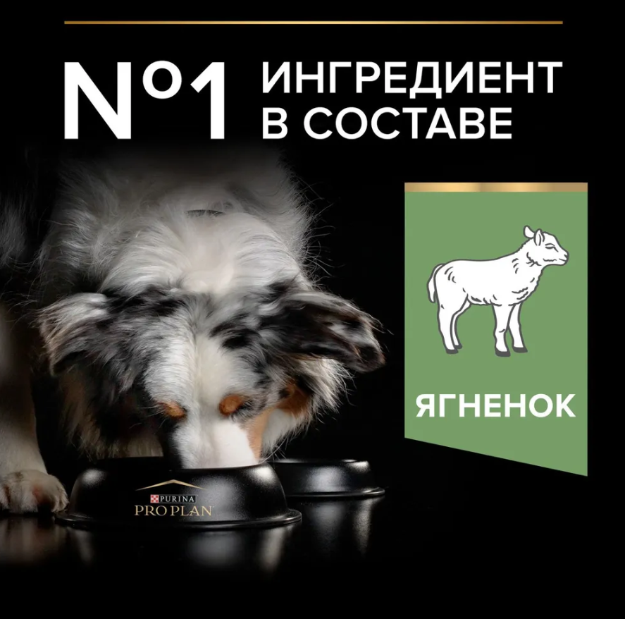 Сухой корм PRO PLAN SENSITIVE DIGESTION для взрослых собак средних пород с чувствительным пищеварением, с высоким содержанием ягненка, 7 кг