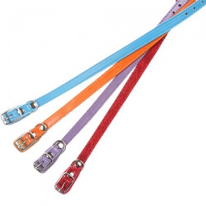 Ошейник 12 Одинарный Цветной О 12 00 00 Ц