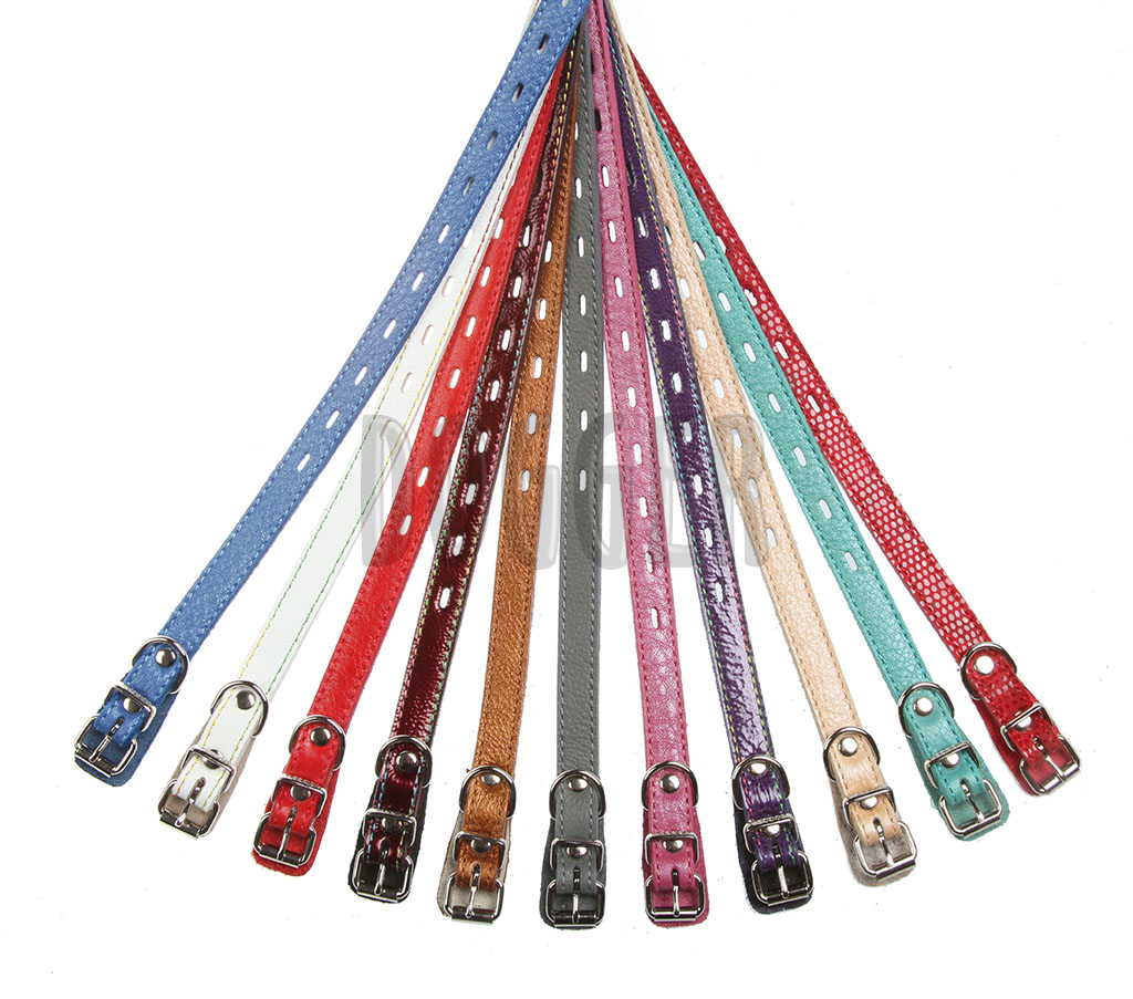 Ошейник Dogger 15мм Щенячий Стандарт