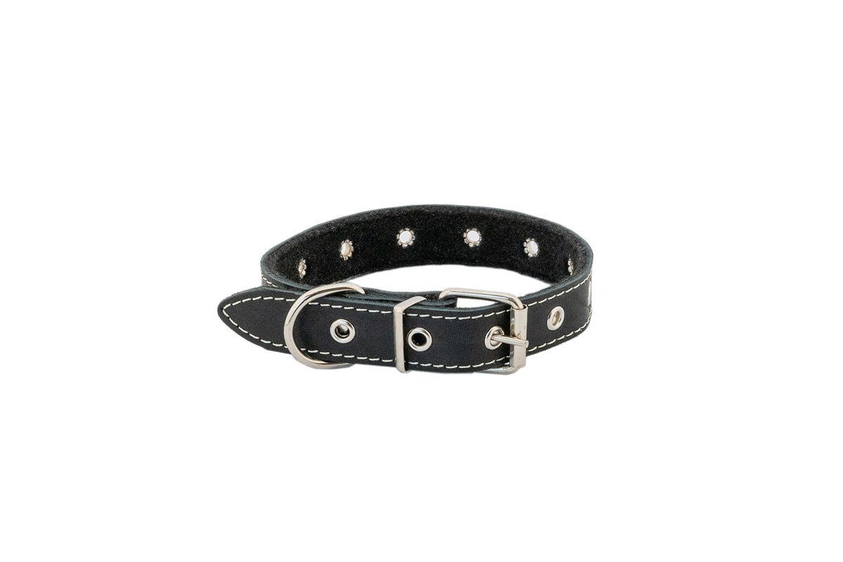 Ошейник ECO 30мм*37-52см простроченный Черный