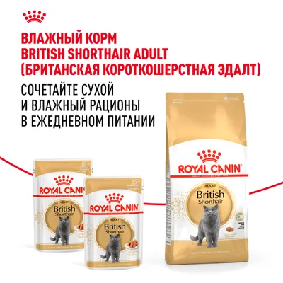 Royal Canin British shorthair 400г
