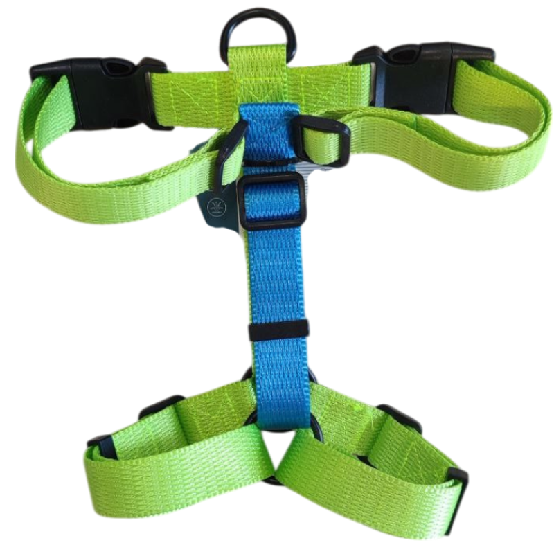 Шлейка MidePet "Design H" - L (стропа 2,5 см, грудь 60-76 см), салатовая с голубым