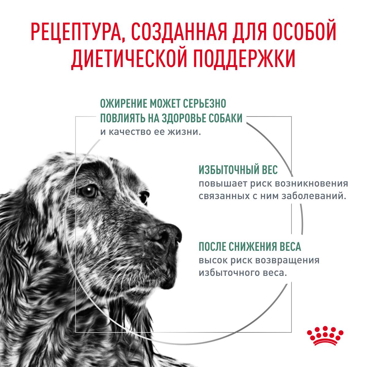 Royal Canin SATIETY Weight Management SAT30 1,5кг (DOG Veterinary)