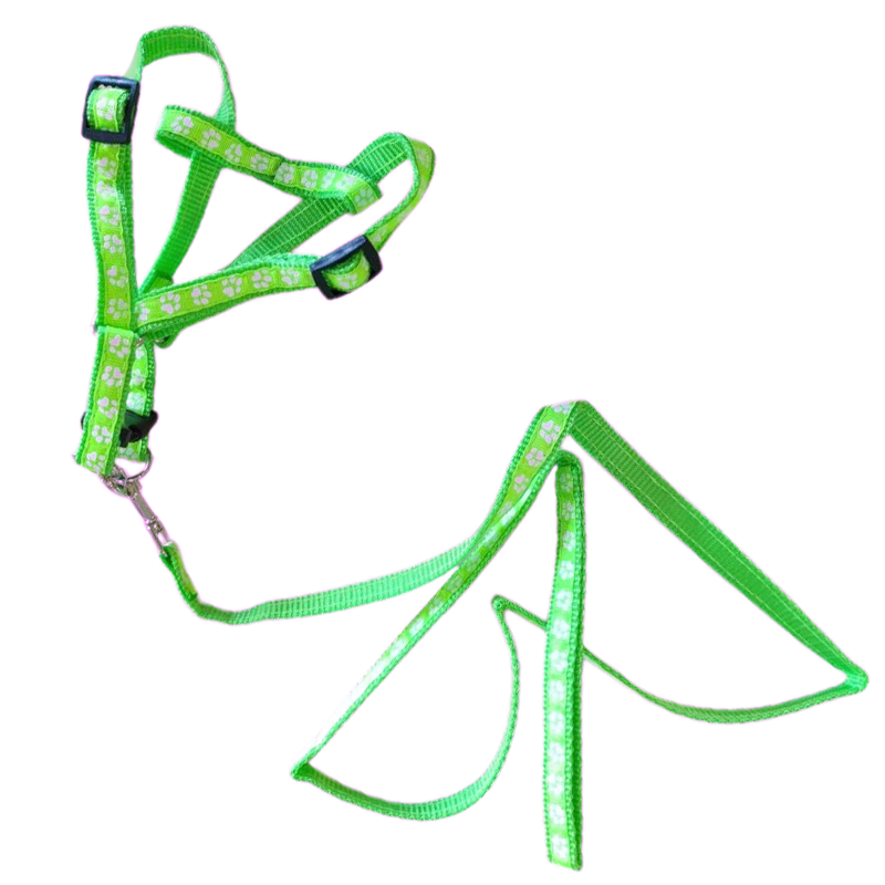 Комплект TopPet №15 Нейлон Поводок+Шлейка, Зеленый с рисунком