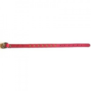 Ошейник Аркон 14мм*22-29см Красный