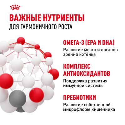 Royal Canin KITTEN 300г