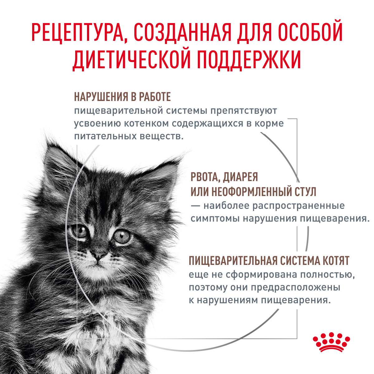 Royal Canin Gastro Intestinal Kitten 2кг