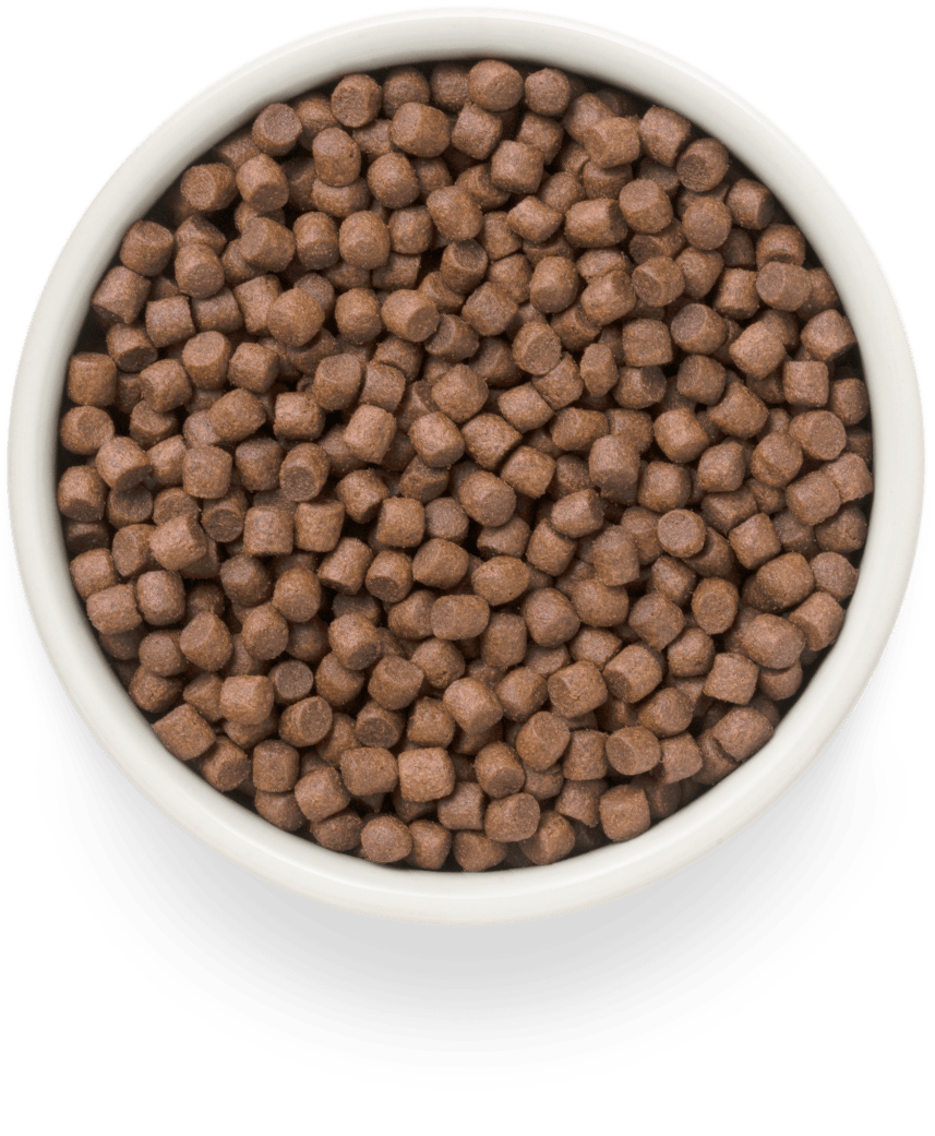 Grandorf FRESH для Собак мелких пород Утка с бататом 3кг