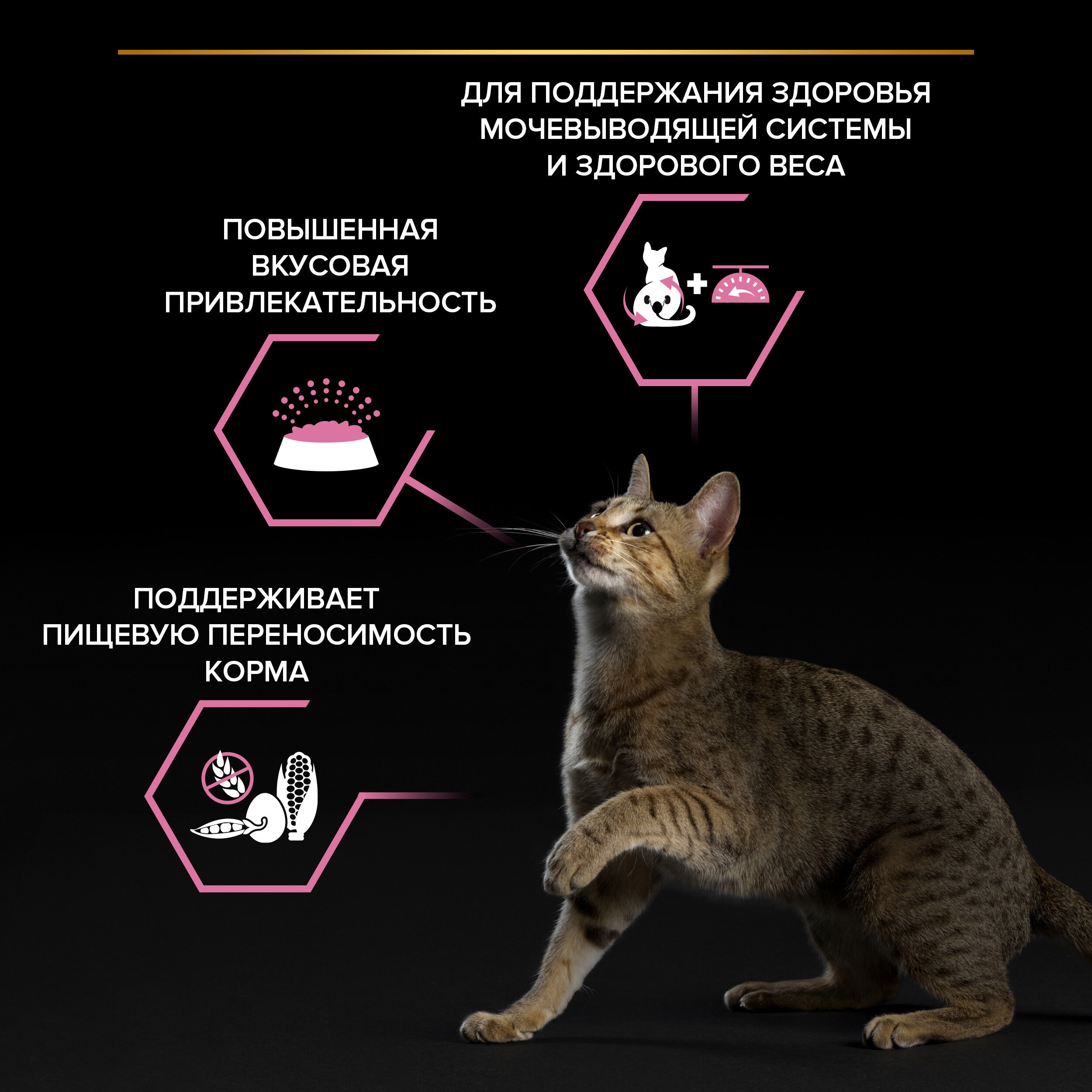 Сухой корм PRO PLAN Sterilised DELICATE DIGESTION для взрослых стерилизованных кошек с чувствительным пищеварением, с высоким содержанием курицы, 400 г
