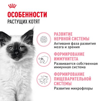 Royal Canin KITTEN 300г