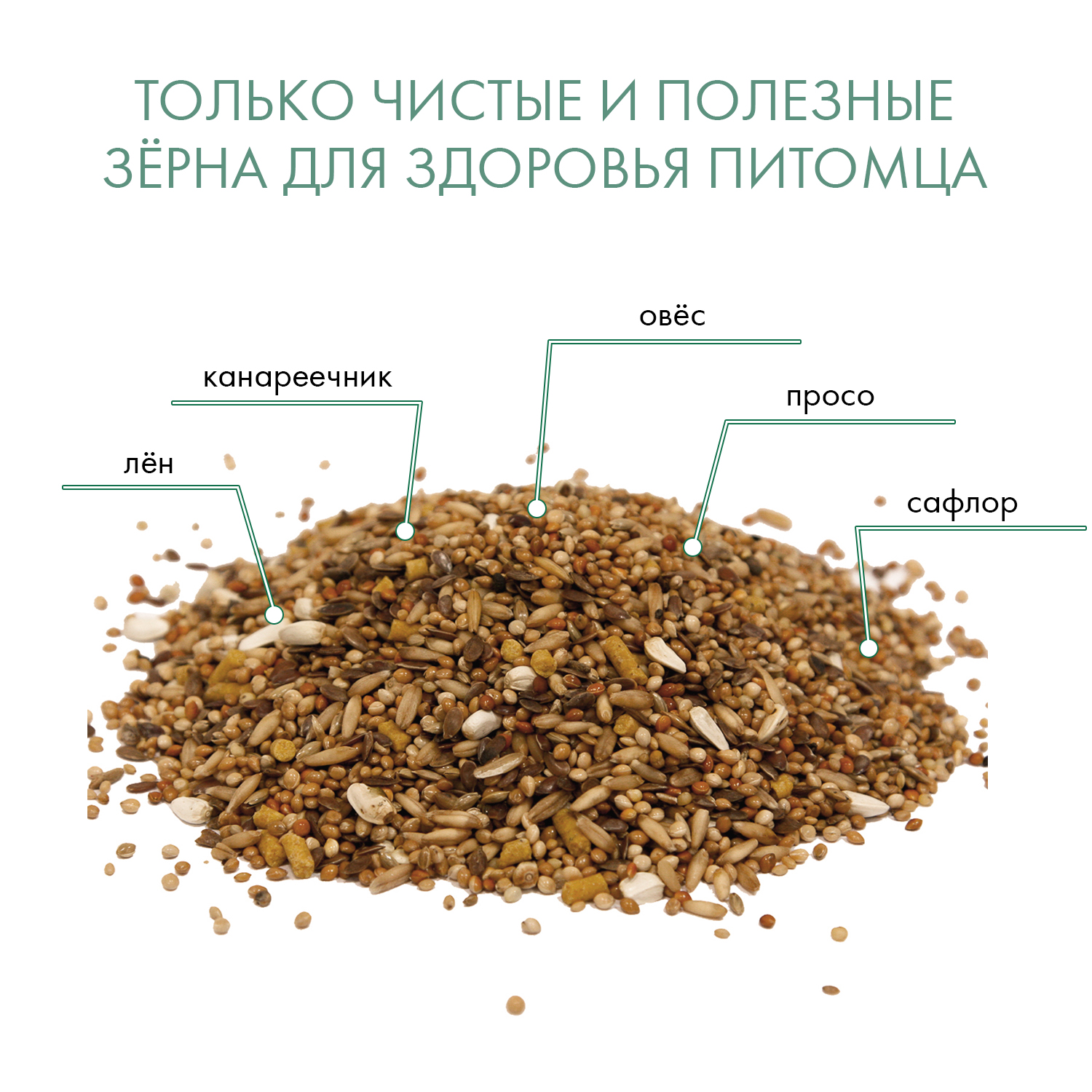 FIORY для Волнистых Попугаев Pappagallini  400г