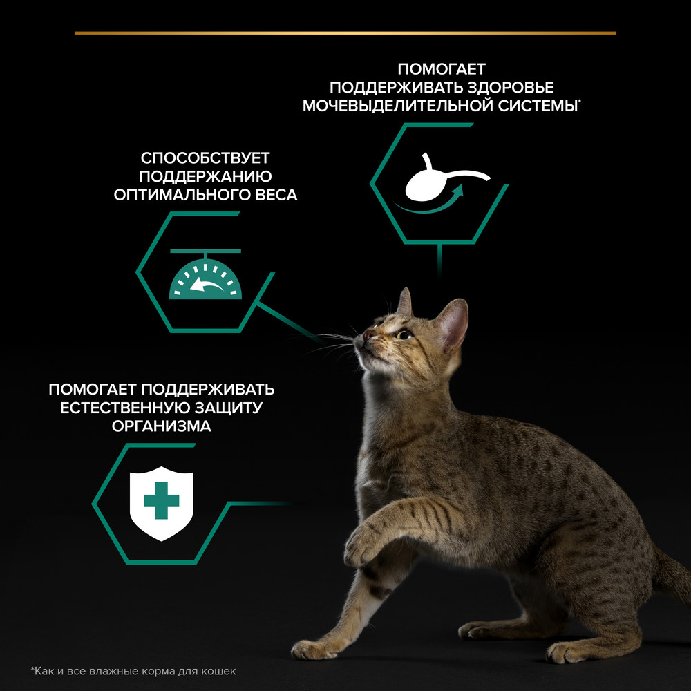 Влажный корм PRO PLAN для взрослых стерилизованных кошек, кусочки с говядиной в желе, 85г