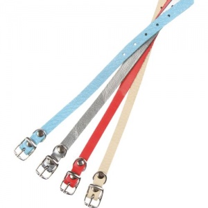 Ошейник 10 Одинарный Цветной О 10 00 00 Ц