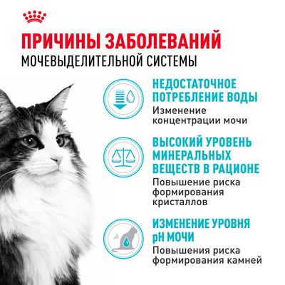 Royal Canin URINARY CARE 4кг
