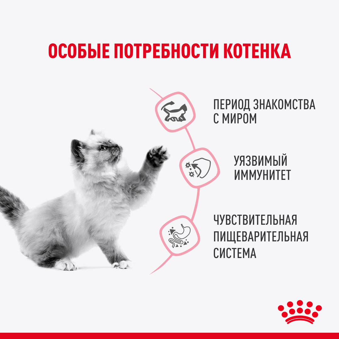 пауч Royal Canin Kitten Sterilised соус