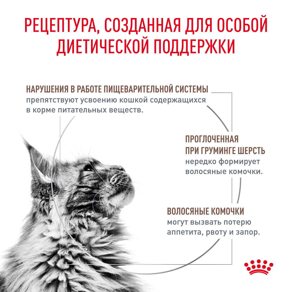 Royal Canin GASTRO INTESTINAL Hairball 2кг