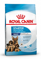 Royal Canin MAXI Starter 4,0