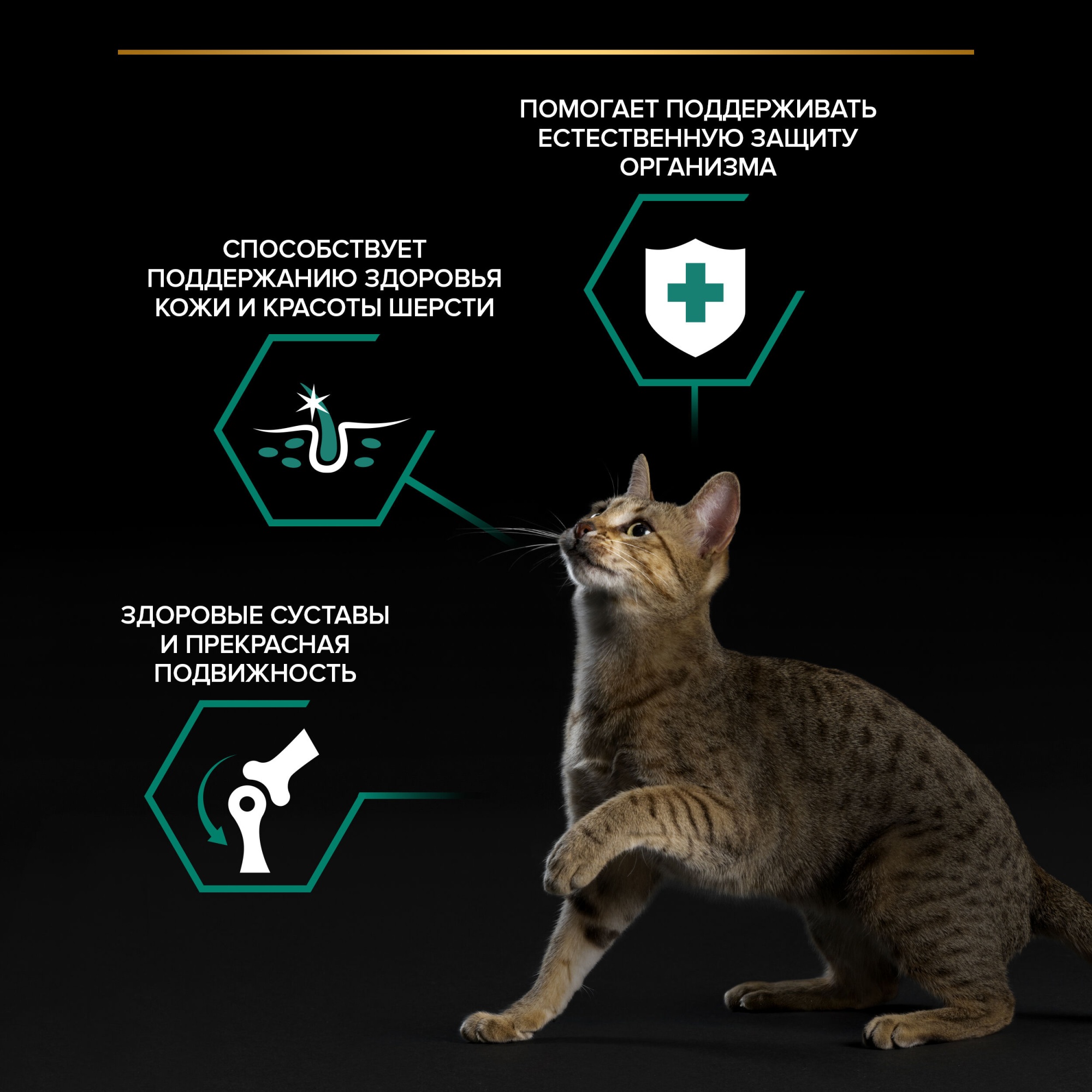 Влажный корм PRO PLAN Adult Nutri Savour для кошек, кусочки, с индейкой в желе, 85 г