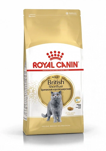 Royal Canin British shorthair 10.0