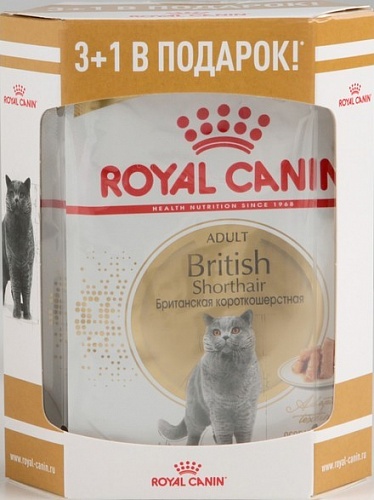 паучи Royal Canin для Британской короткошерстной Кусочки в соусе Акция 3+1