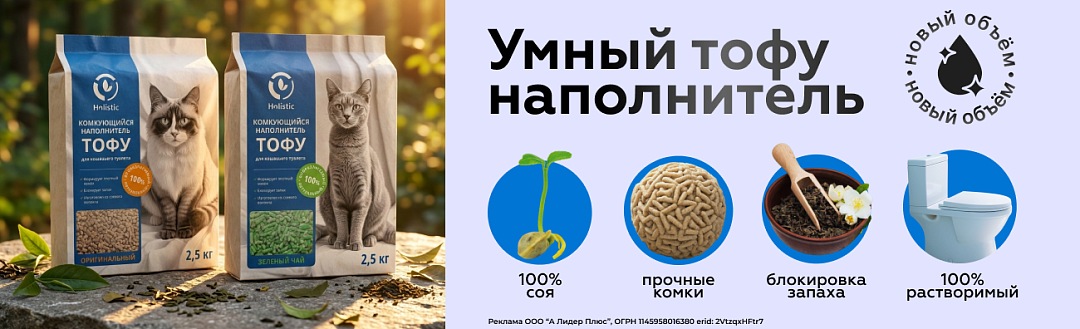 Новинки Holistic Тофу