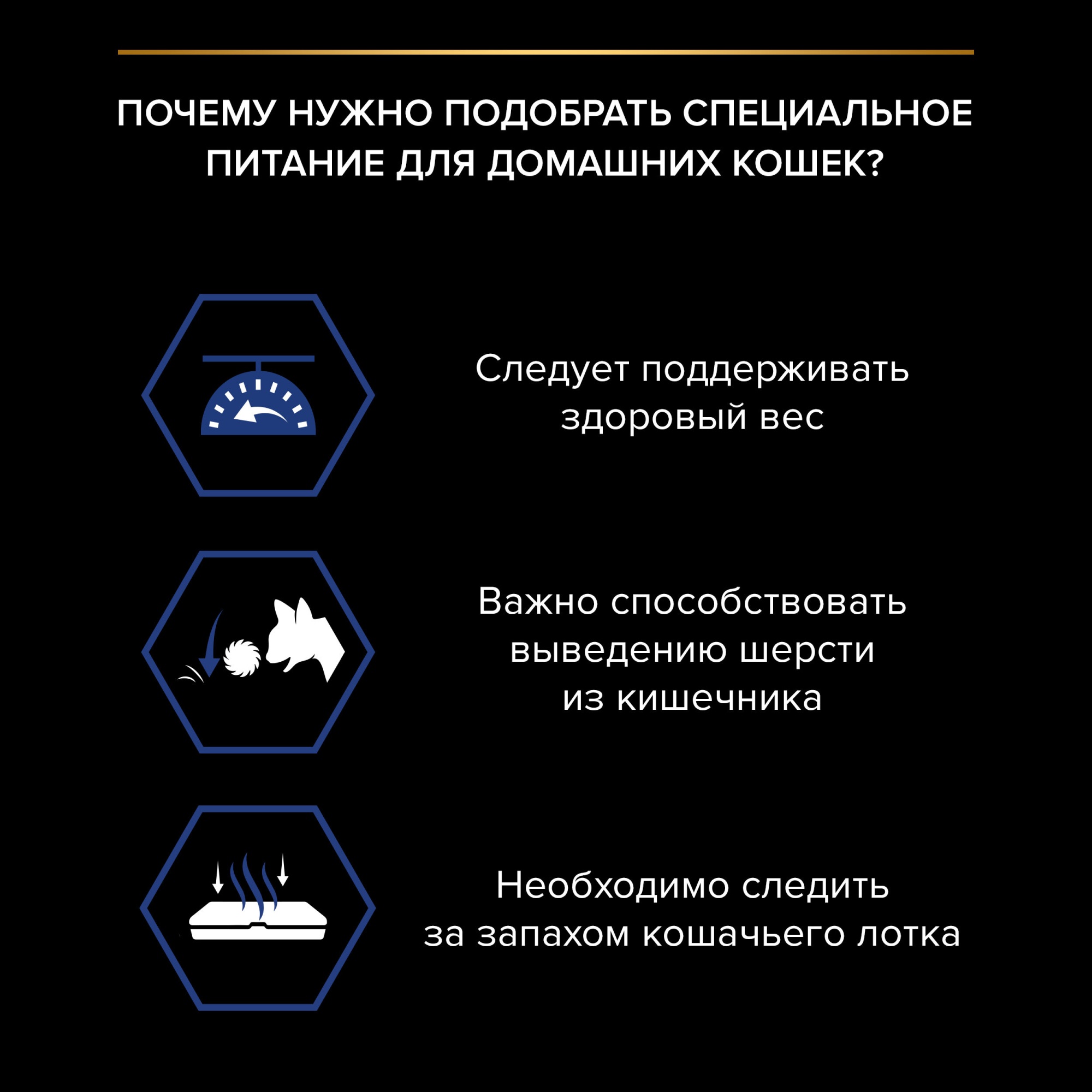 Влажный корм PRO PLAN Indoor Adult для кошек, живущих дома, с лососем в соусе, 85 г